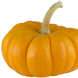 pumpkin-963043_1280