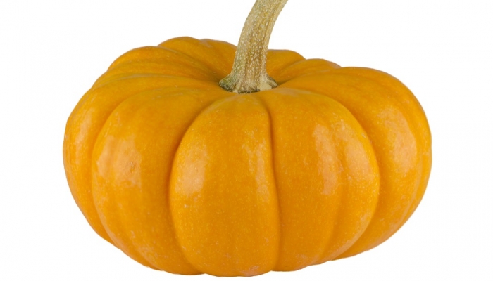 pumpkin-963043_1280