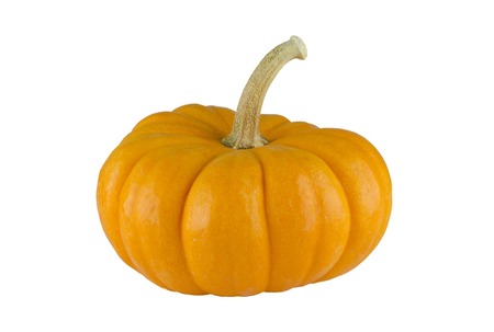 pumpkin-963043_1280